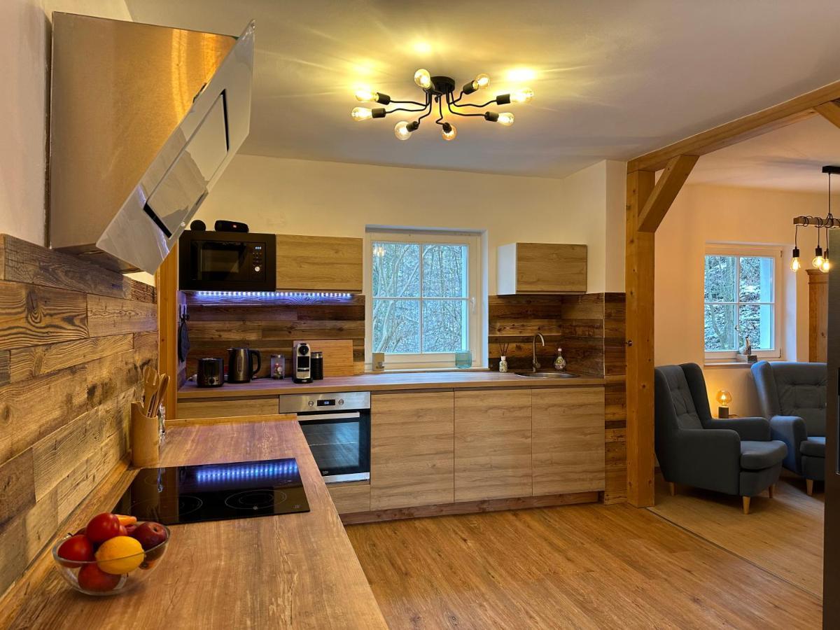 Chalet Ferienhaus ドレスデン エクステリア 写真